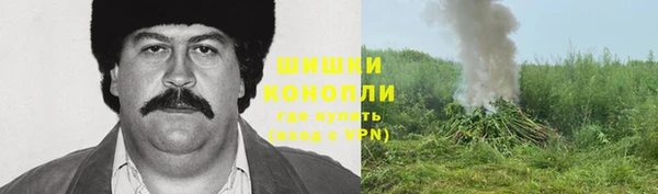экстази Белокуриха