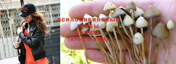 2c-b Белоозёрский