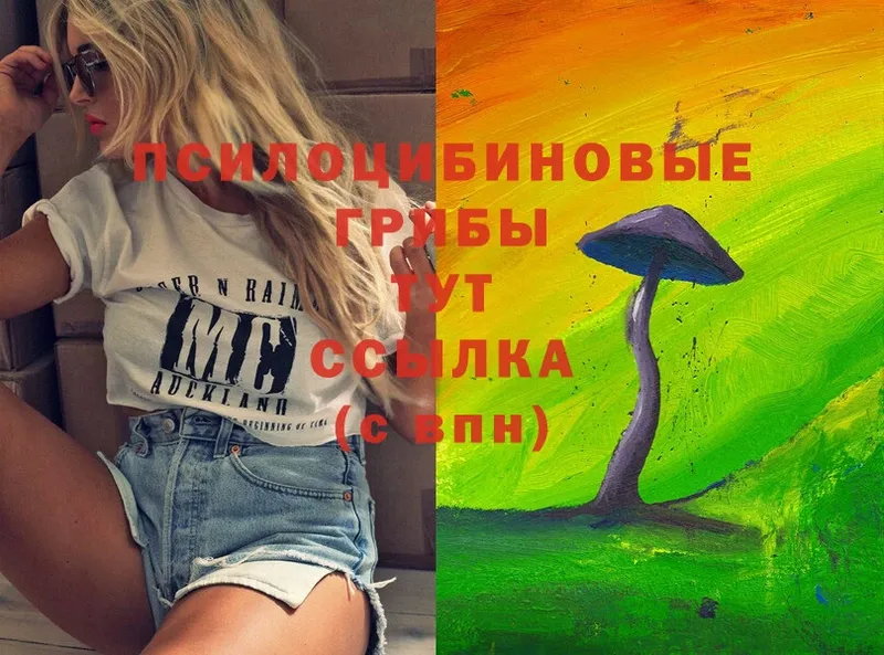 Псилоцибиновые грибы Psilocybine cubensis  где купить наркоту  Бобров 